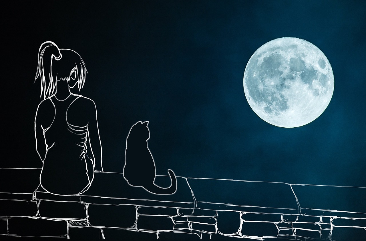 Луна девушка кошка